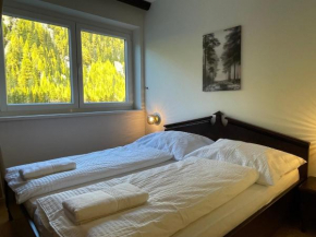 International House Sölden Apartment mit 2 Schlafzimmern ZW 7